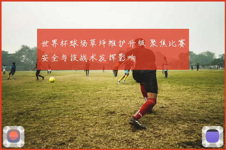 世界杯球场草坪维护升级 聚焦比赛安全与技战术发挥影响