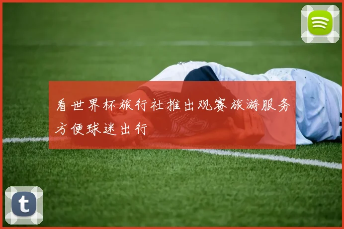 看世界杯旅行社推出观赛旅游服务方便球迷出行