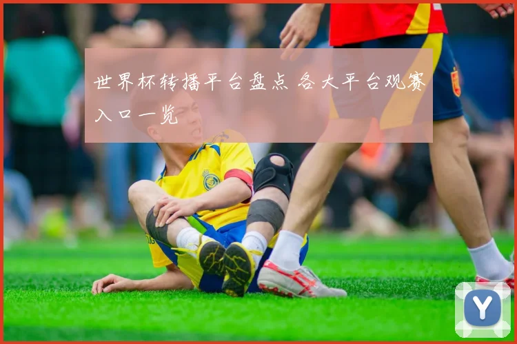 世界杯转播平台盘点 各大平台观赛入口一览