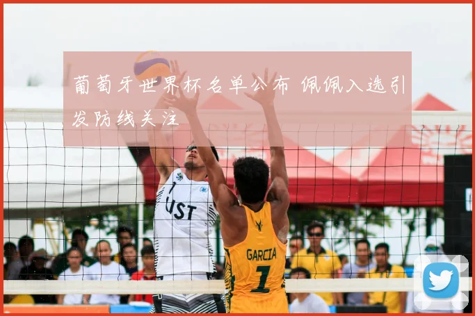 葡萄牙世界杯名单公布 佩佩入选引发防线关注