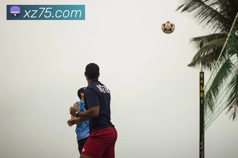 必一运动b官网平台生态图